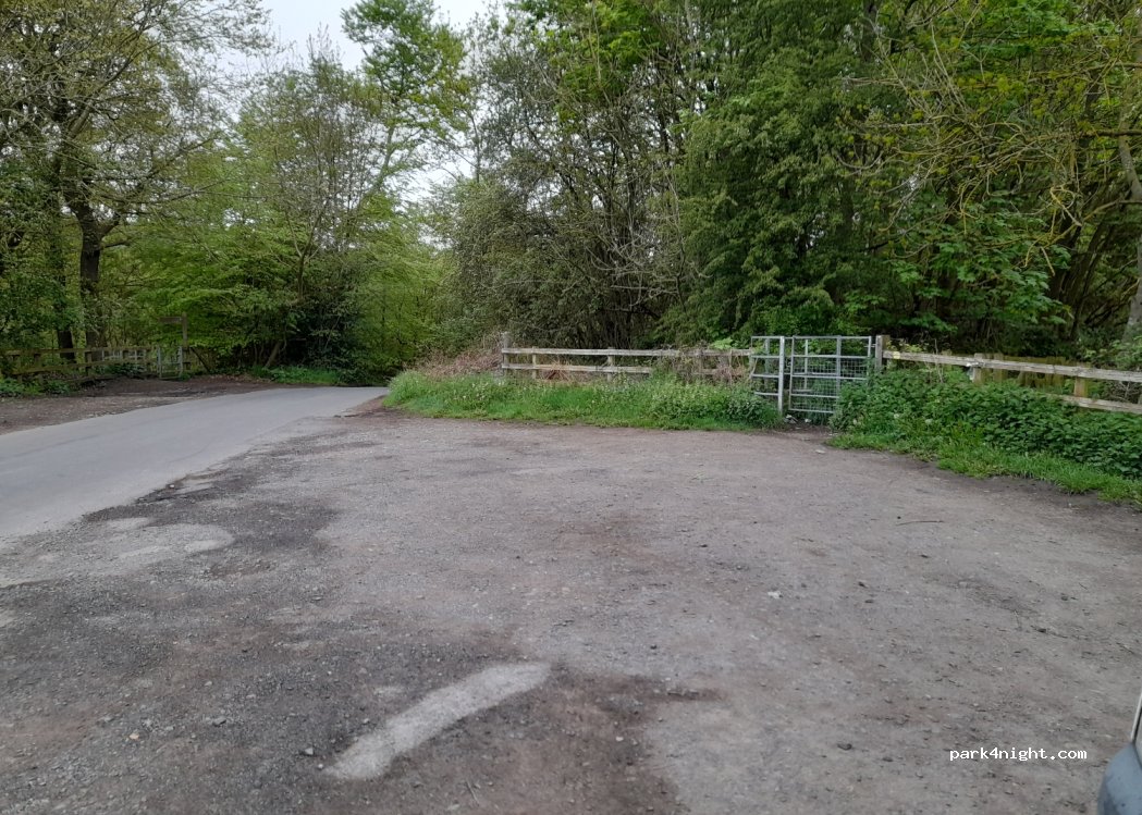 (DH9) Stanley - Cranberry Bog Road — foto 2