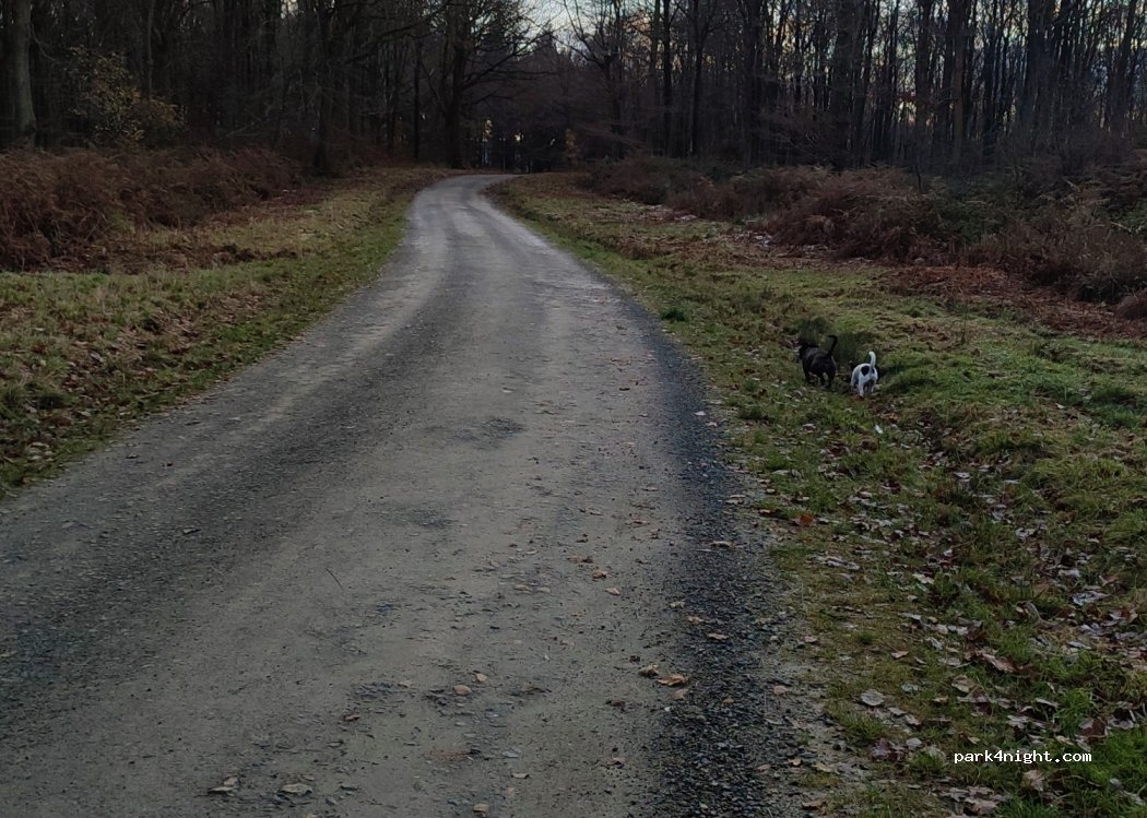 (DY12 3HS) Bewdley - Clogs Bank — foto