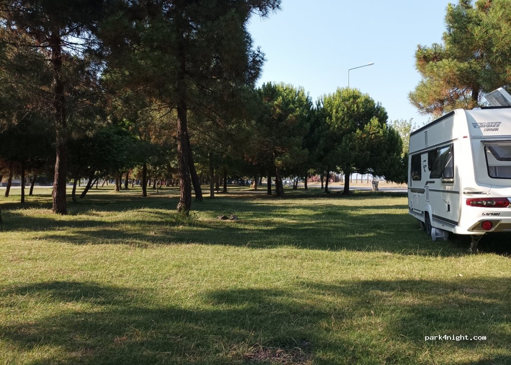(55420) Samsun - Samanyolu Cd. — foto