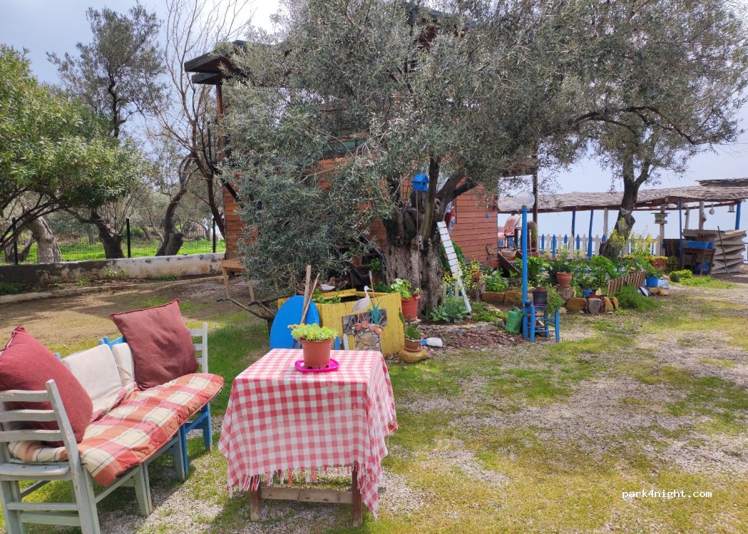 Ali Baba Relax Camping — foto 3