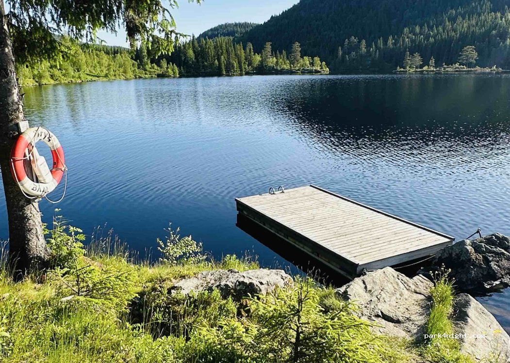 (3891) Høydalsmo - Lardalsvegen — foto 3