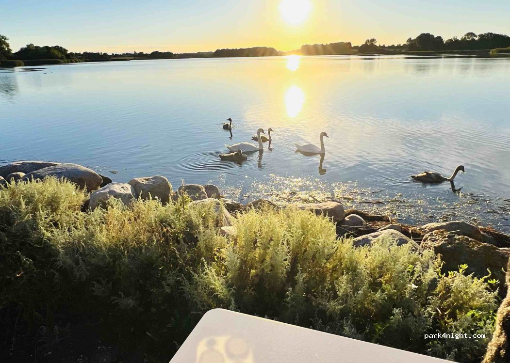 (5800) Nyborg - Dyrehavevej — foto 3