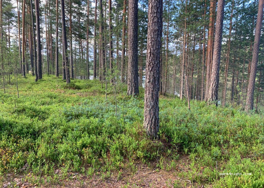 (4865) Dølemo - — foto