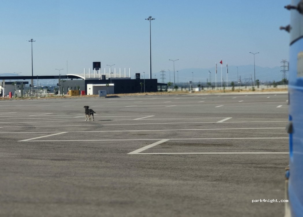 (35800) İzmir - — foto 2