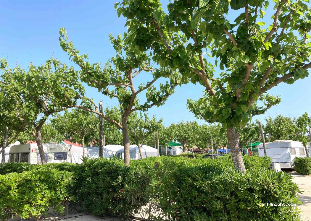 Camping Pepe · Platja d´Oliva — foto