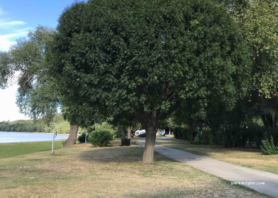 Campsite Eden — foto 2