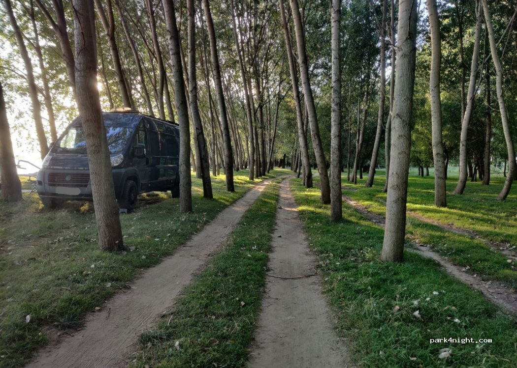 () Cetate, Dolj - — foto 3
