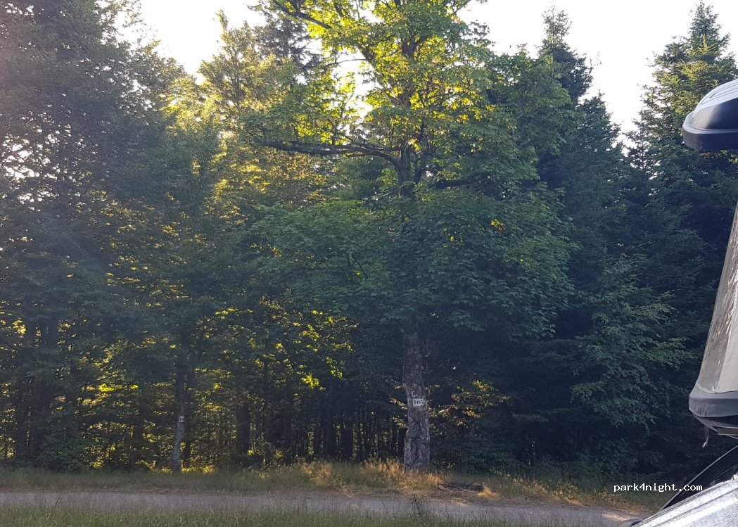 (88250) La Bresse - Machey — foto 2