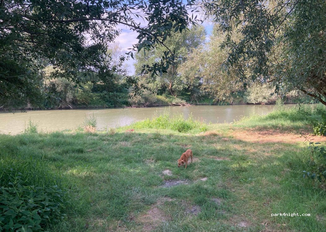 (307289) Urseni - — foto 3
