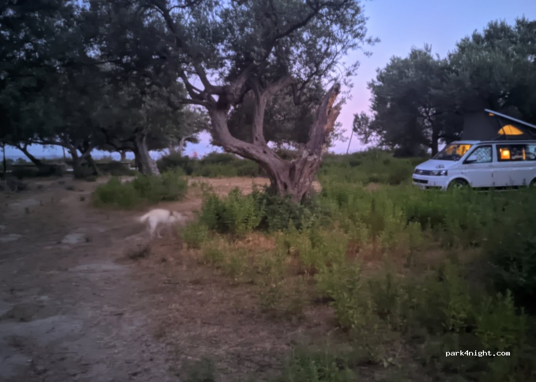 Camping Moskato 2 Qeparo — foto 2