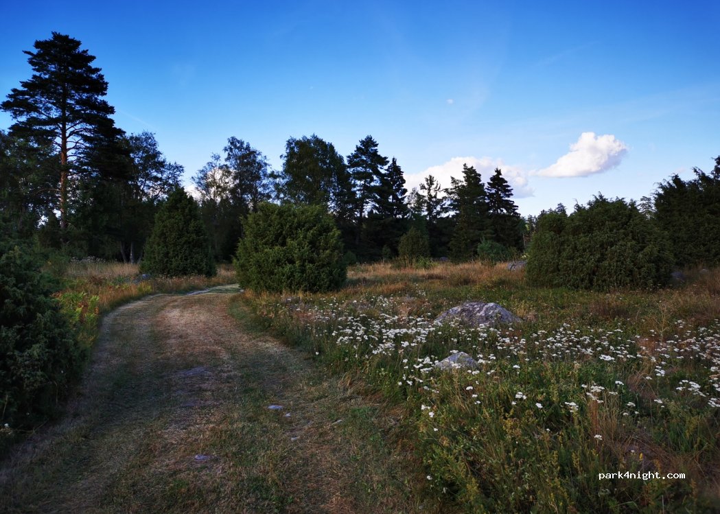 Knackarbo Skogcamping — foto 2
