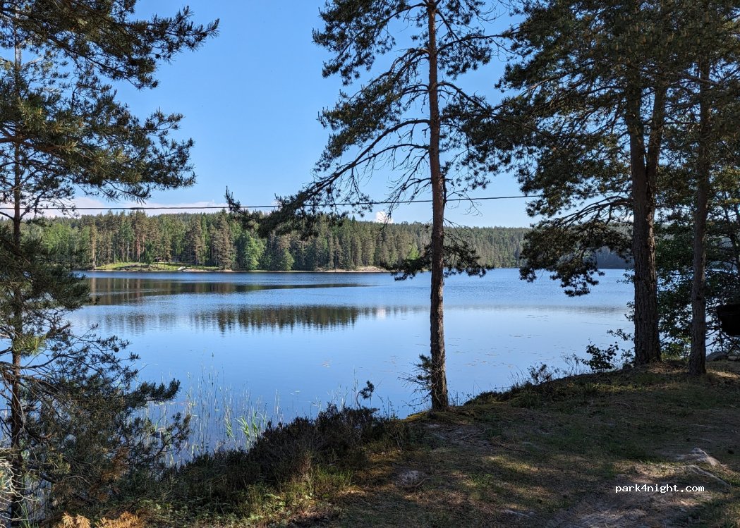 (670 20) Glava - — foto 3