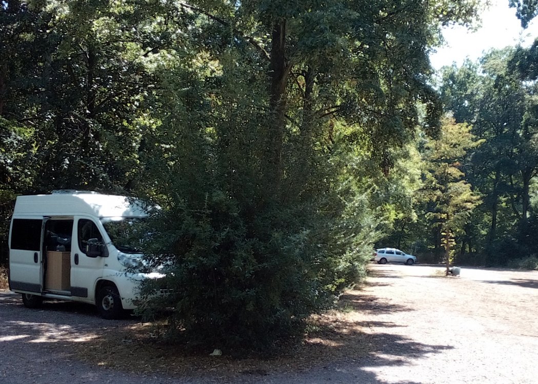 (63500) Seligenstadt - L2310 — foto