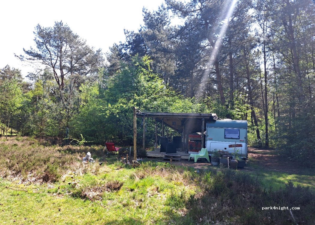 Camping De ReCreatie — foto 4