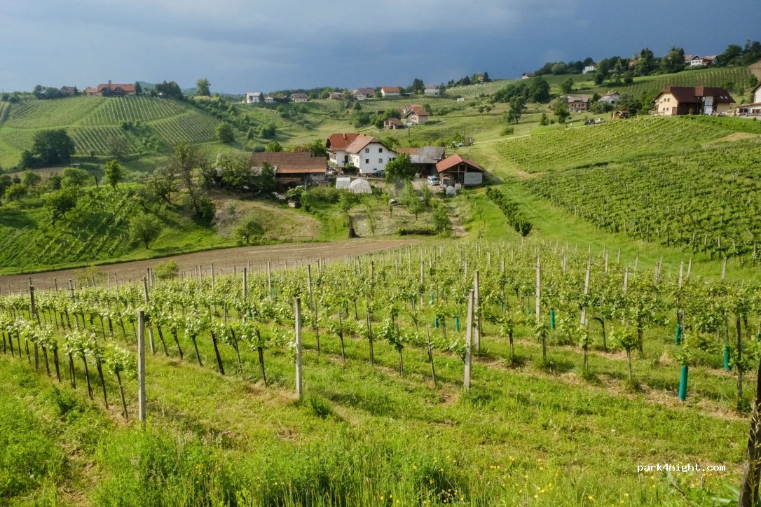Organic winery and farm Valentan — foto 3