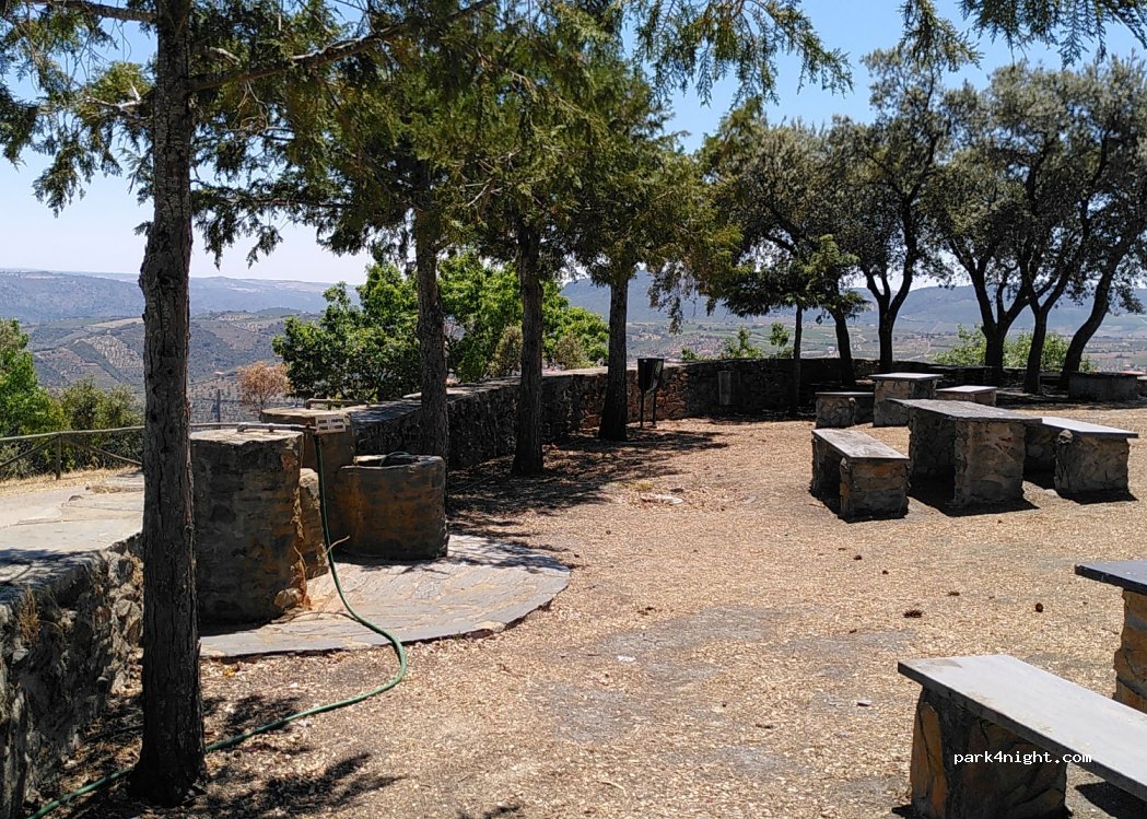 (5180) Freixo de Espada à Cinta - — foto 2