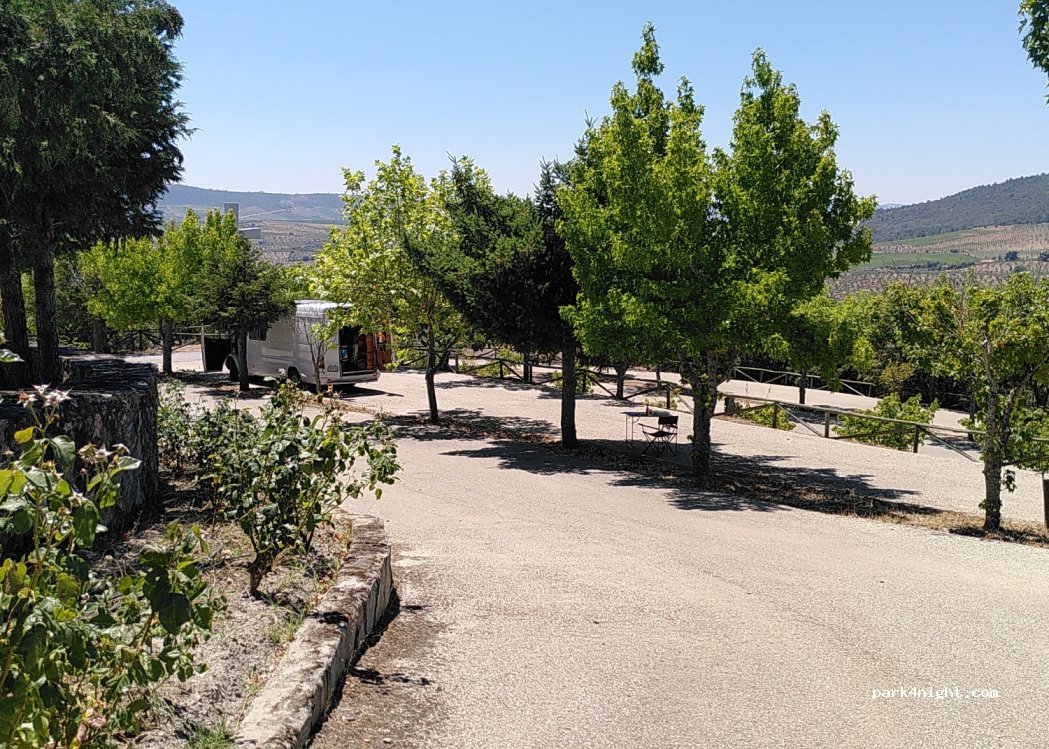 (5180) Freixo de Espada à Cinta - — foto 3