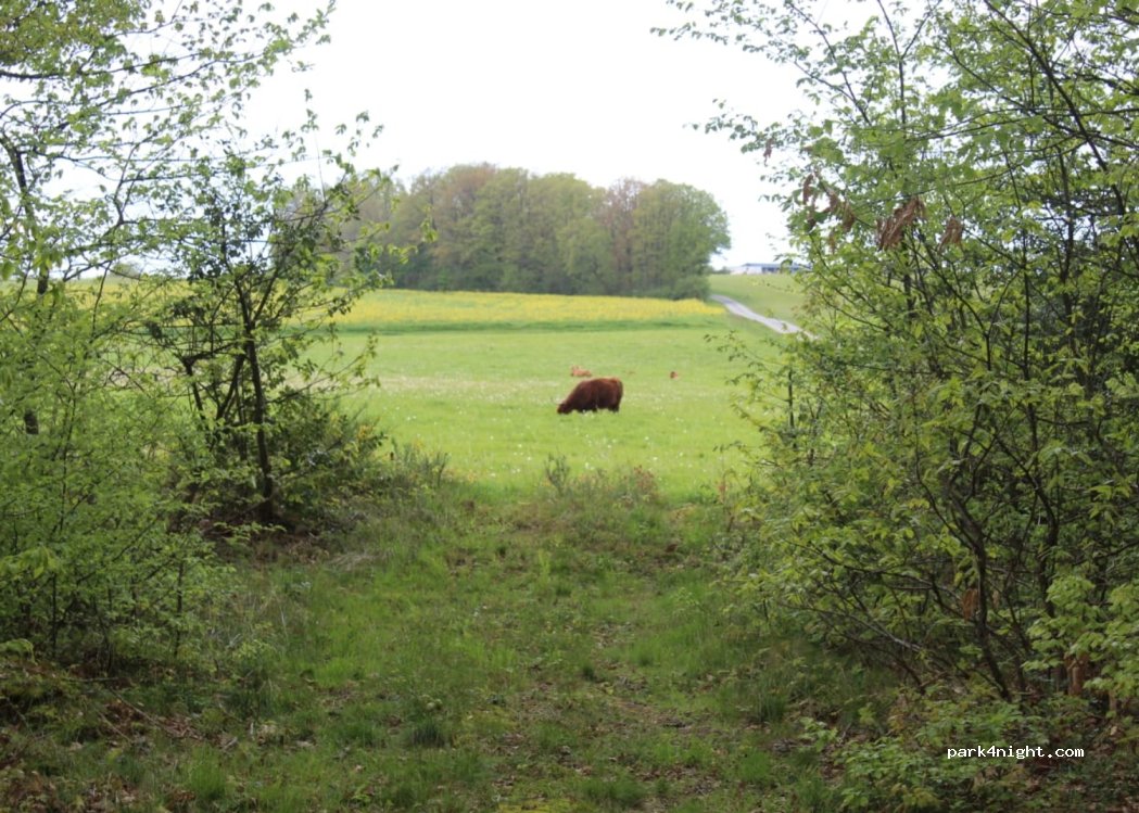 (10160) Bérulle - Unnamed Road — foto 4