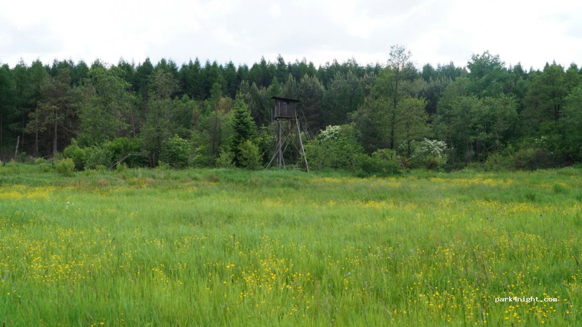 ()  - Unnamed Road — foto 2