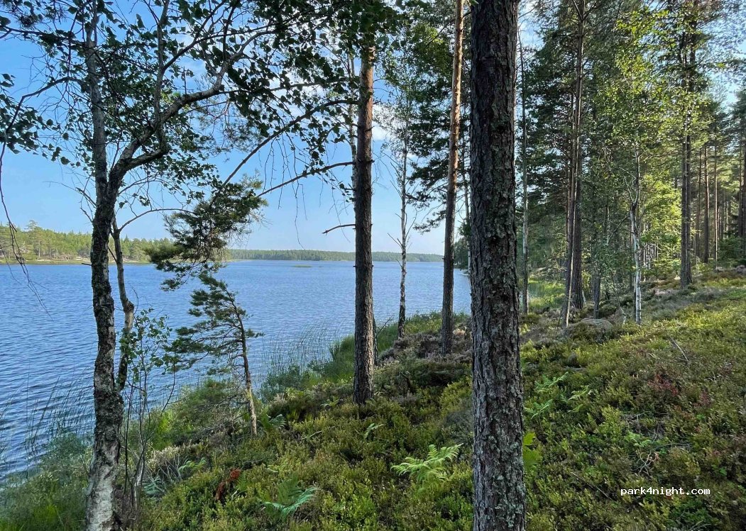 (610 10) Hjortkvarn - — foto