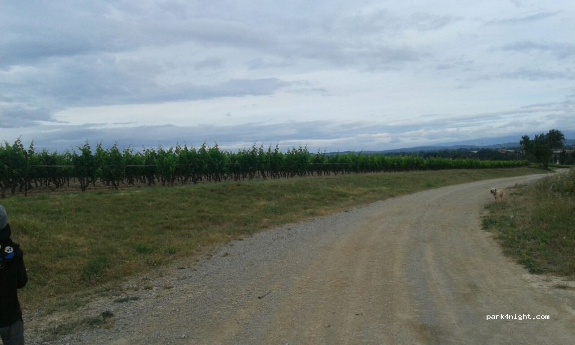 (11200) Névian - 281 Chemin d'Ornaisons — foto
