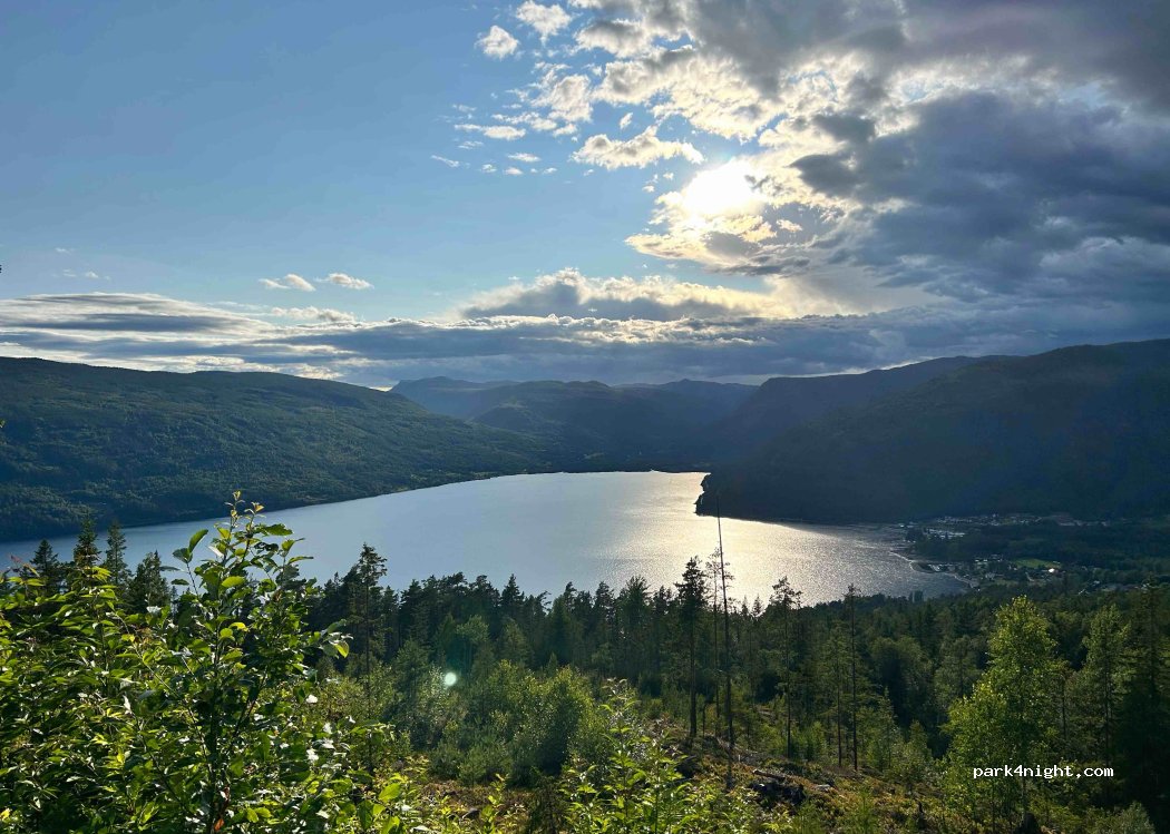 (3650) Austbygde - 40 Primær Fylkesveg 364 — foto