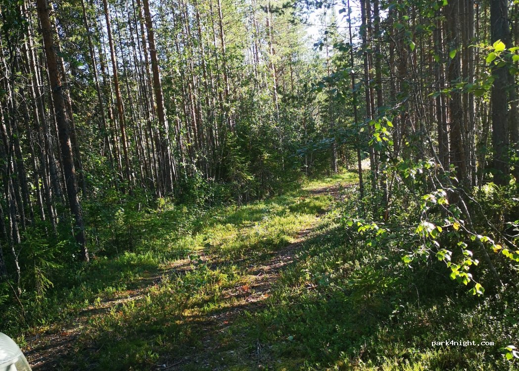 (790 90) Särna - — foto 2