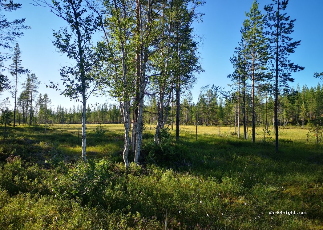 (790 90) Särna - — foto 3
