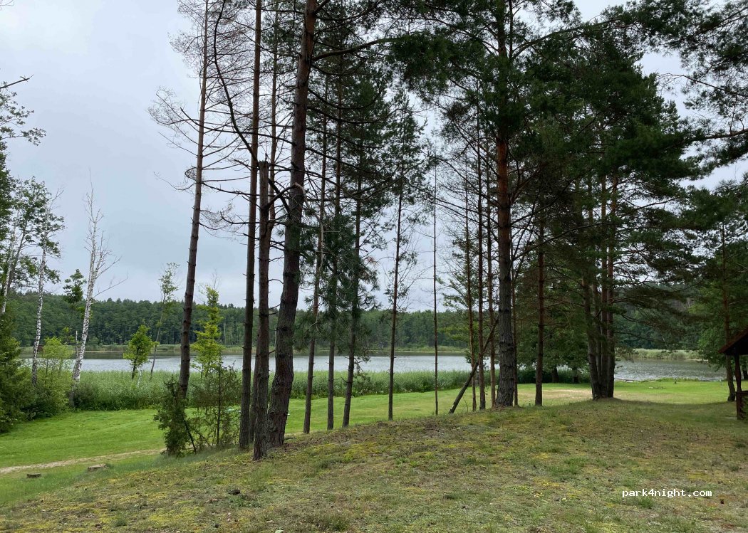 (65333) Merkinė - A4 — foto