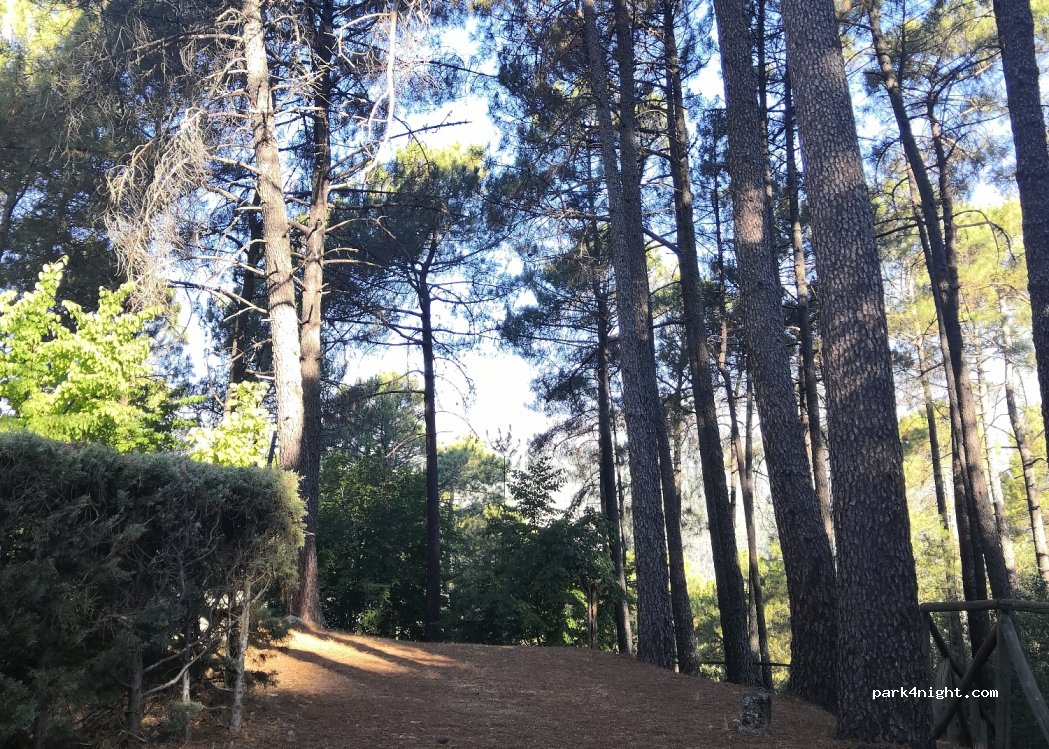 (05413) Santa Cruz del Valle - Unnamed Road — foto