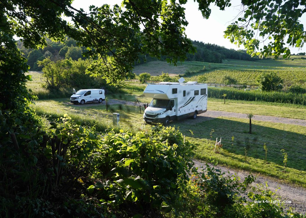 Weingut Hanewald Schwerdt — foto 2