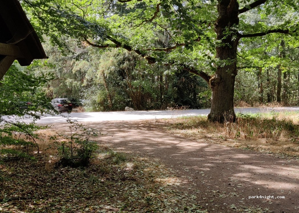 (54487) Wintrich - 2 Kasholz — foto