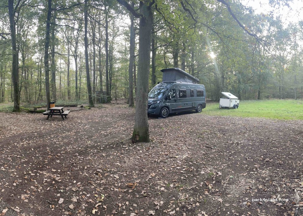 (54487) Wintrich - 2 Kasholz — foto 4