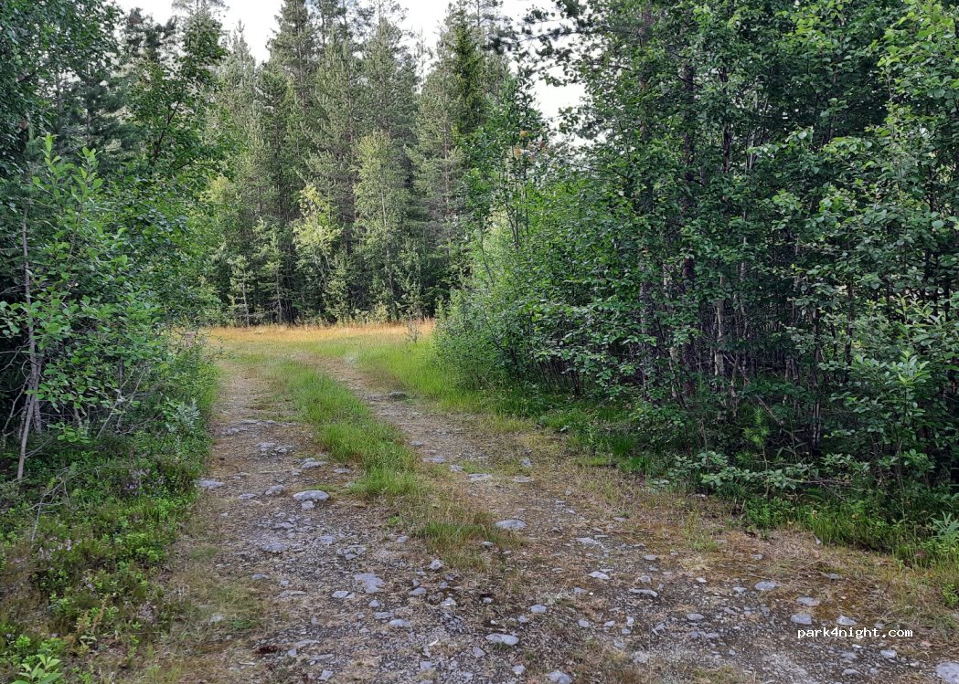 (2440) Heggeriset - — foto 2