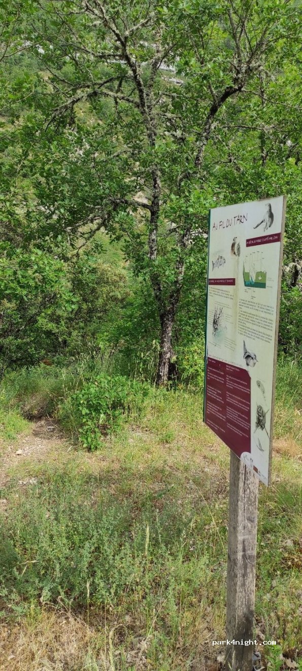(48210) La Malène - — foto 3