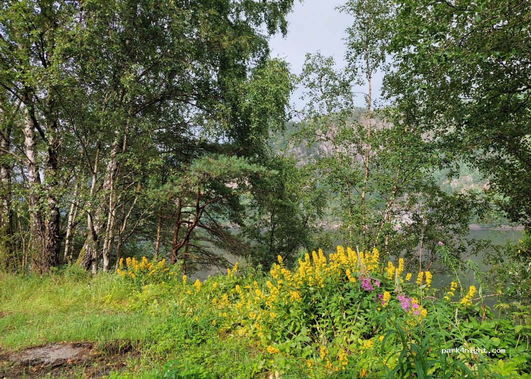 (4438) Sira - Viraksvegen — foto
