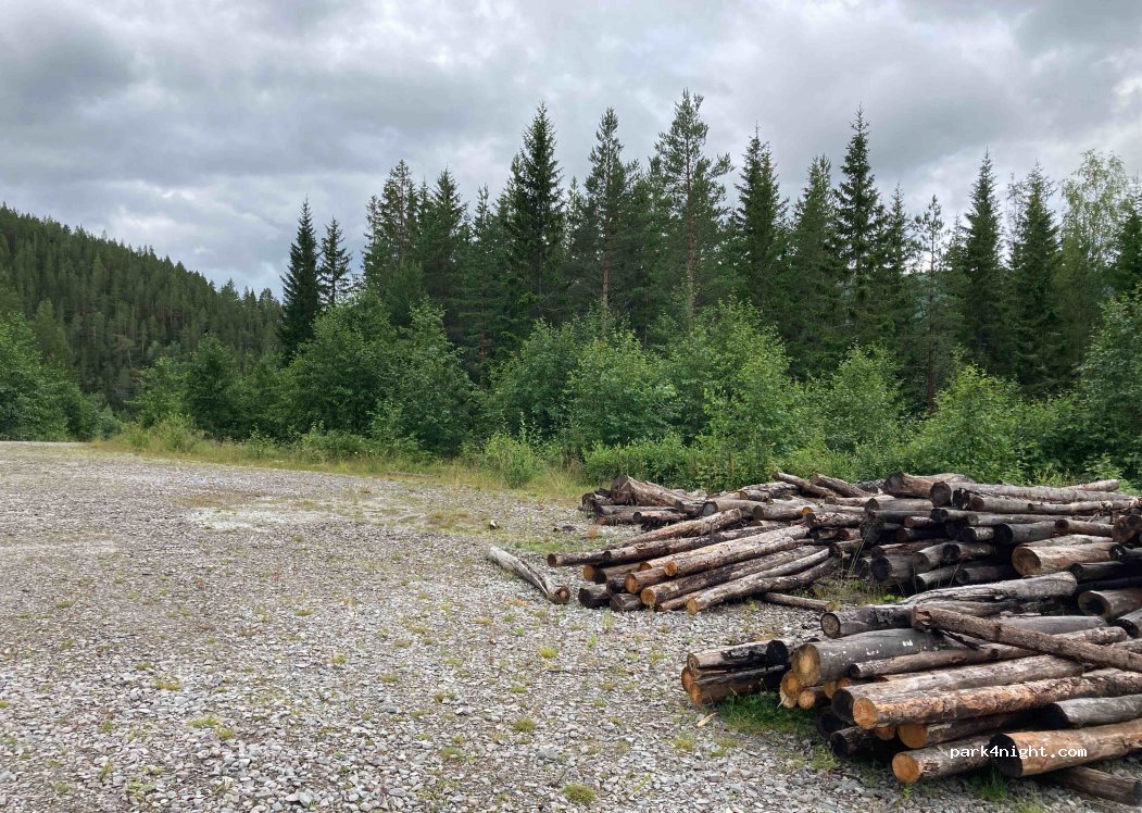 () Sjårdalen - Fv438 — foto