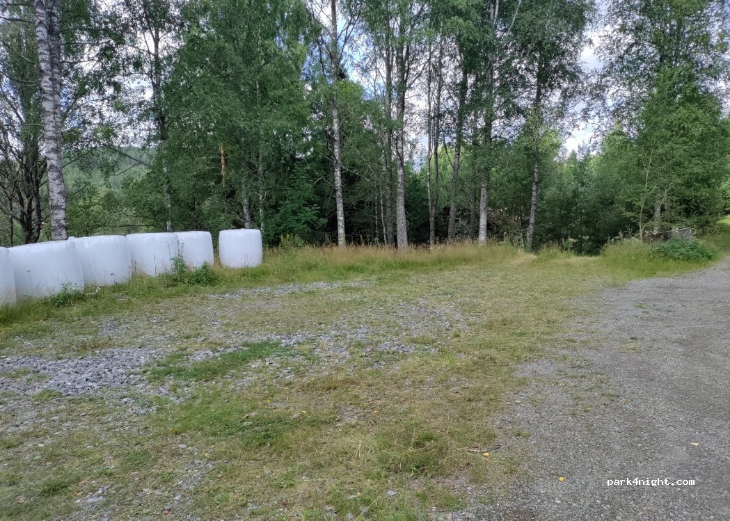 (457 50)  - ÄLLELIEN — foto 2