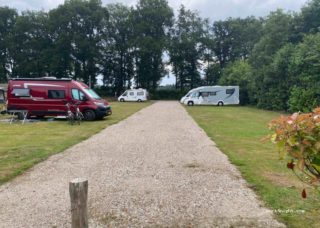 Het Eperwoud — foto 3