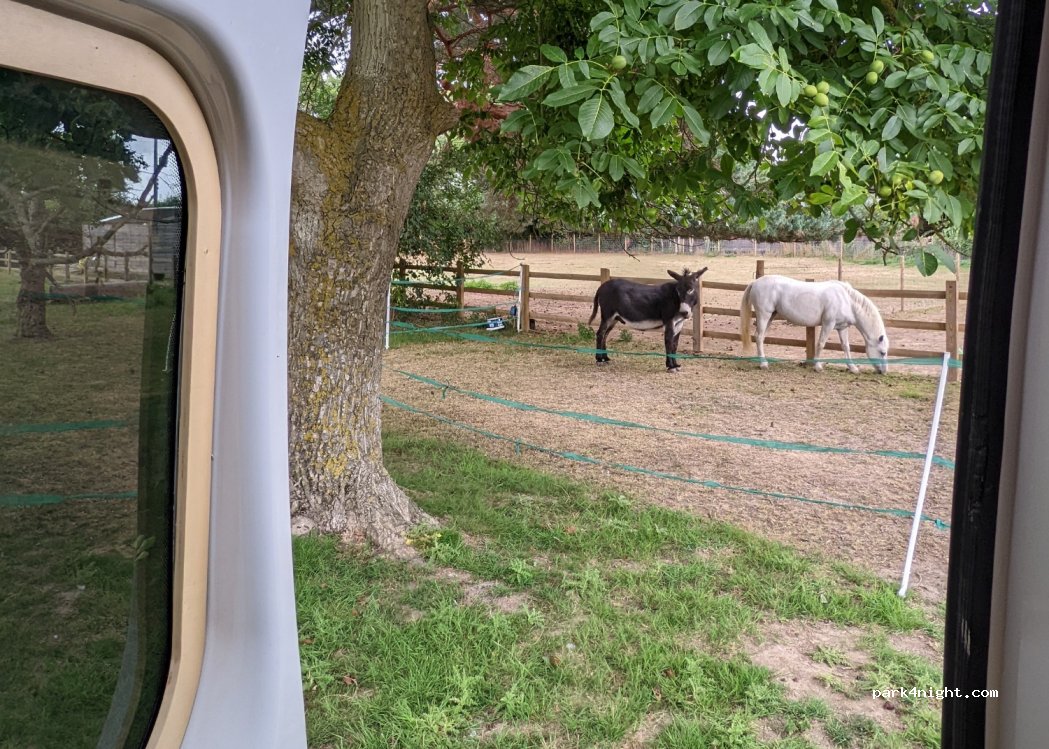 Cobbs Meadow Caravan CL — foto 3