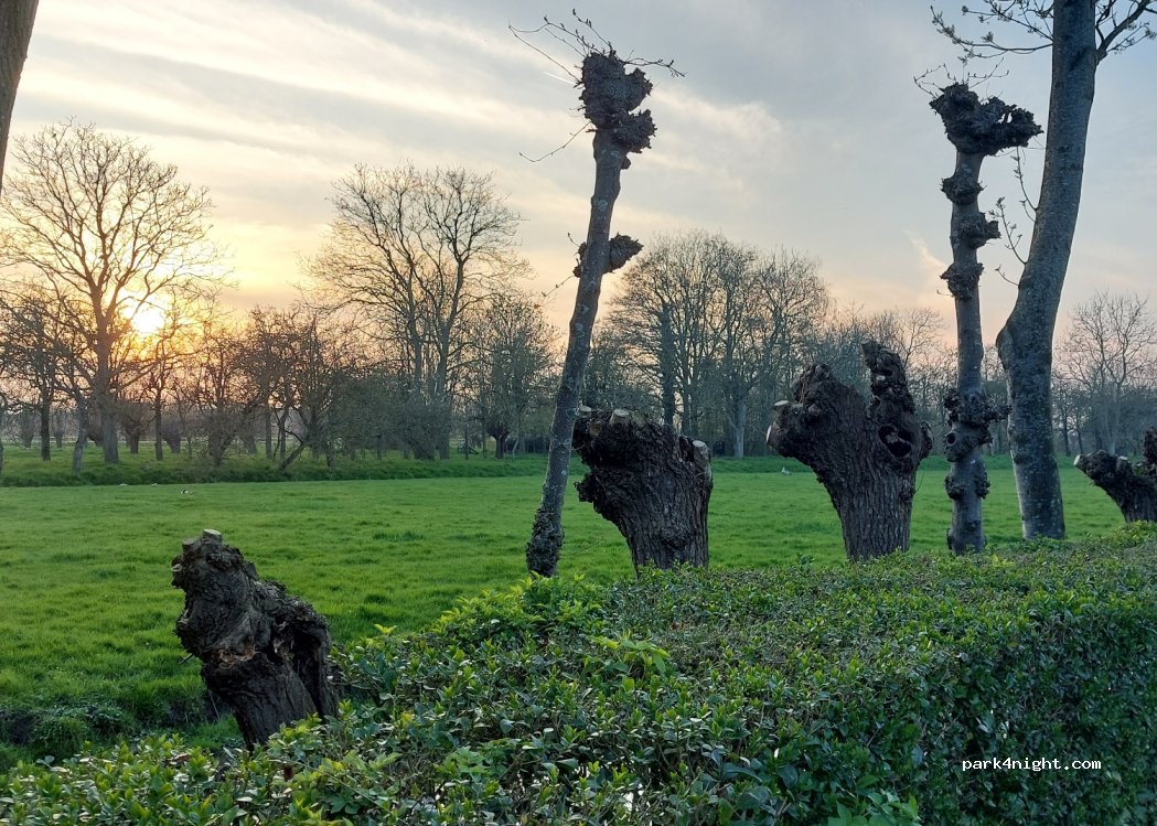Camperplaats De Willige Waard — foto 3