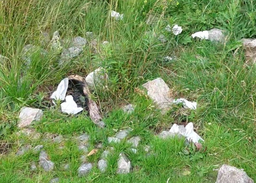 (23041) Livigno - — foto 2