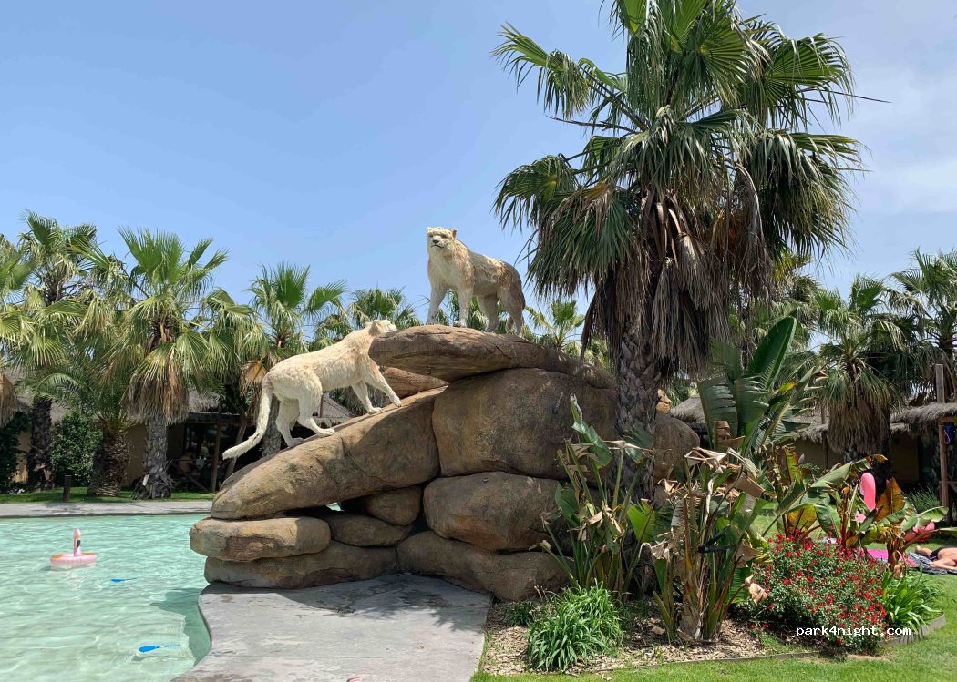El Delfin Verde — foto 3