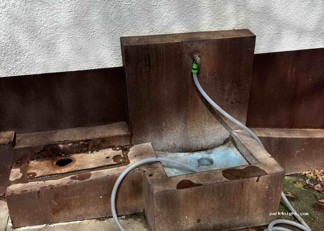 El Delfin Verde — foto 4