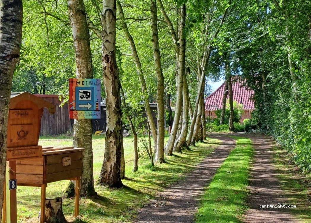 (26524) Halbemond - 3 Leezweg — foto 4