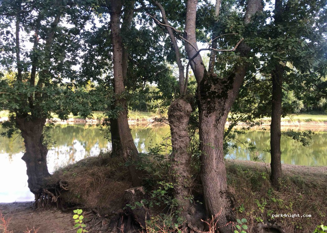 () Orée-d'Anjou - — foto 3