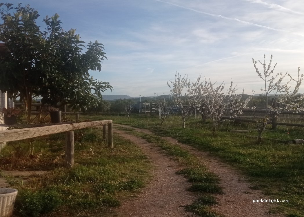 Terra de burgans — foto 3
