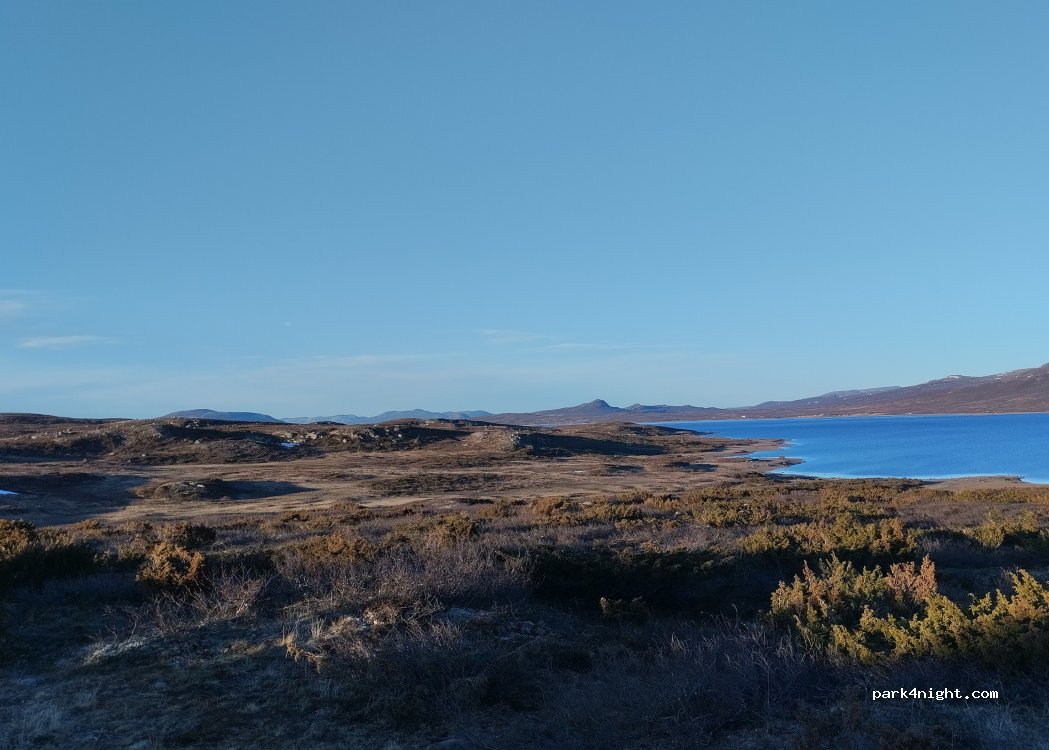 (2953) Beitostølen - 7 Vassklepp — foto