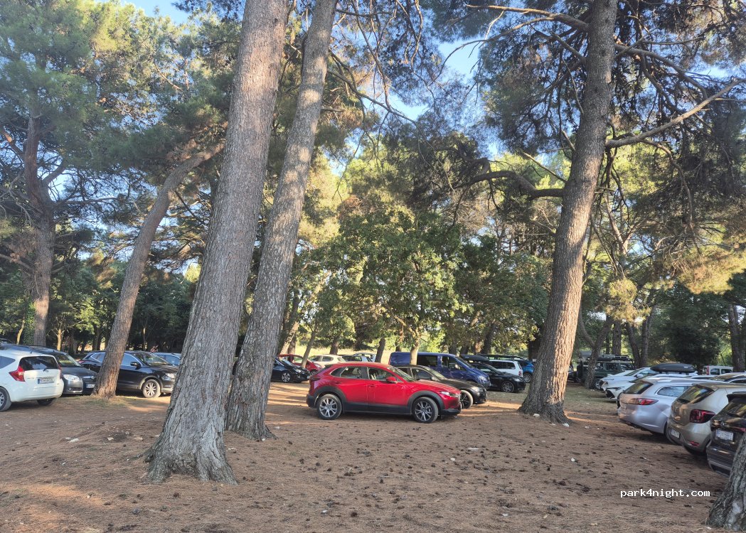 (52212) Fažana - 3 Maslina ulica — foto