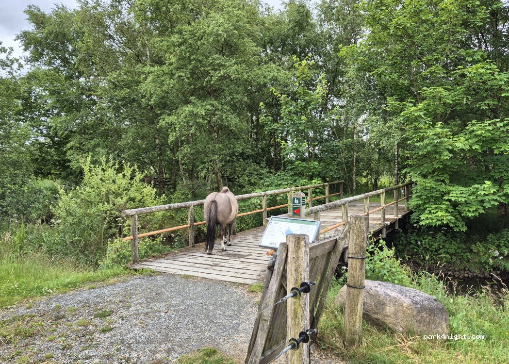 (7400) Herning - 104 Gødstrupvej — foto 2